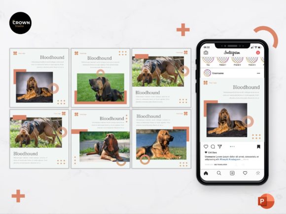 Download Instagram Feed Template -  Bloodhound - Instagram feed template Collection